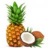 Alora Naturals New Body, 30 servings