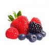 Alora Naturals New Body, 30 servings